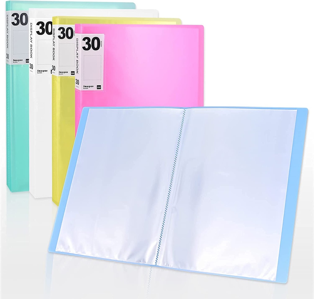 Clear File (30 Pocket)